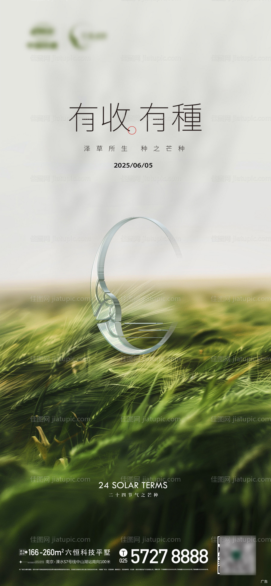 芒种节气麦穗小清新海报-源文件