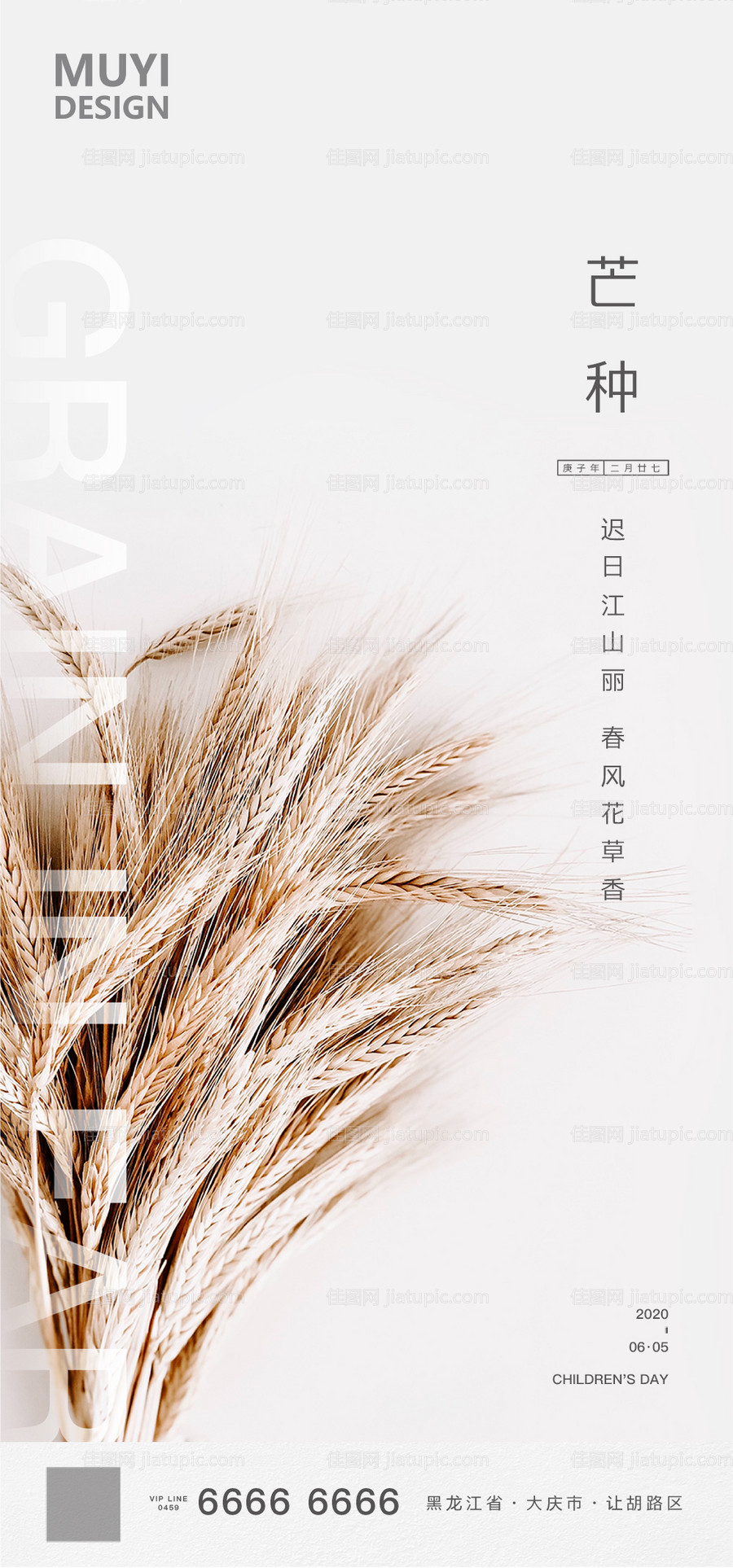 芒种节气海报-源文件