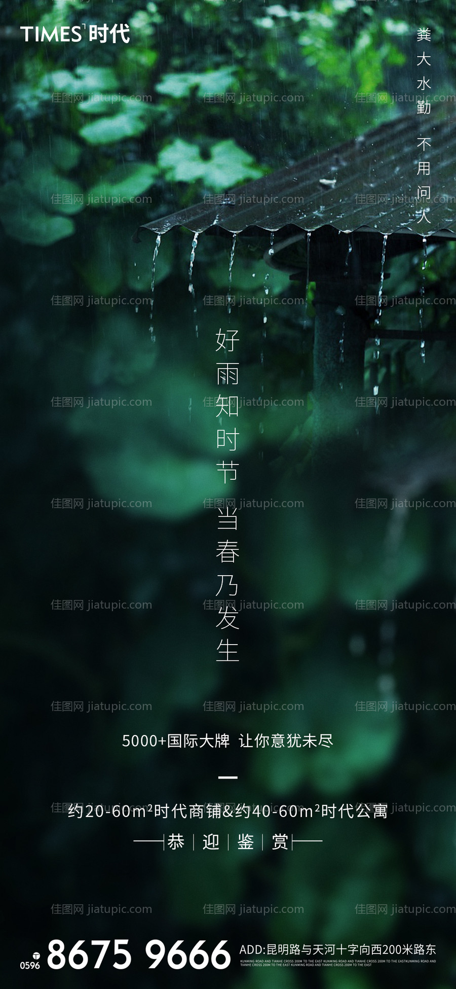 雨水节气海报-源文件