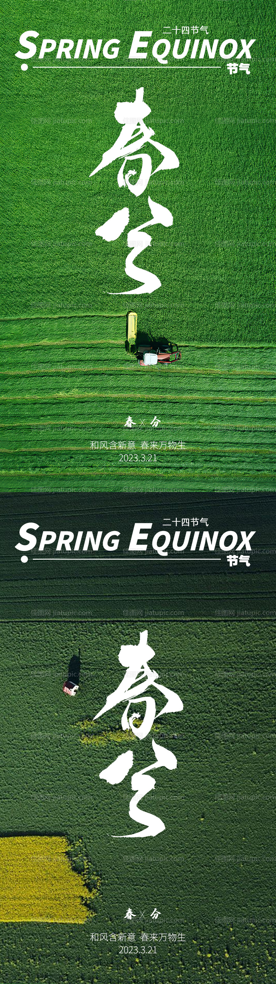 春分节气海报-源文件