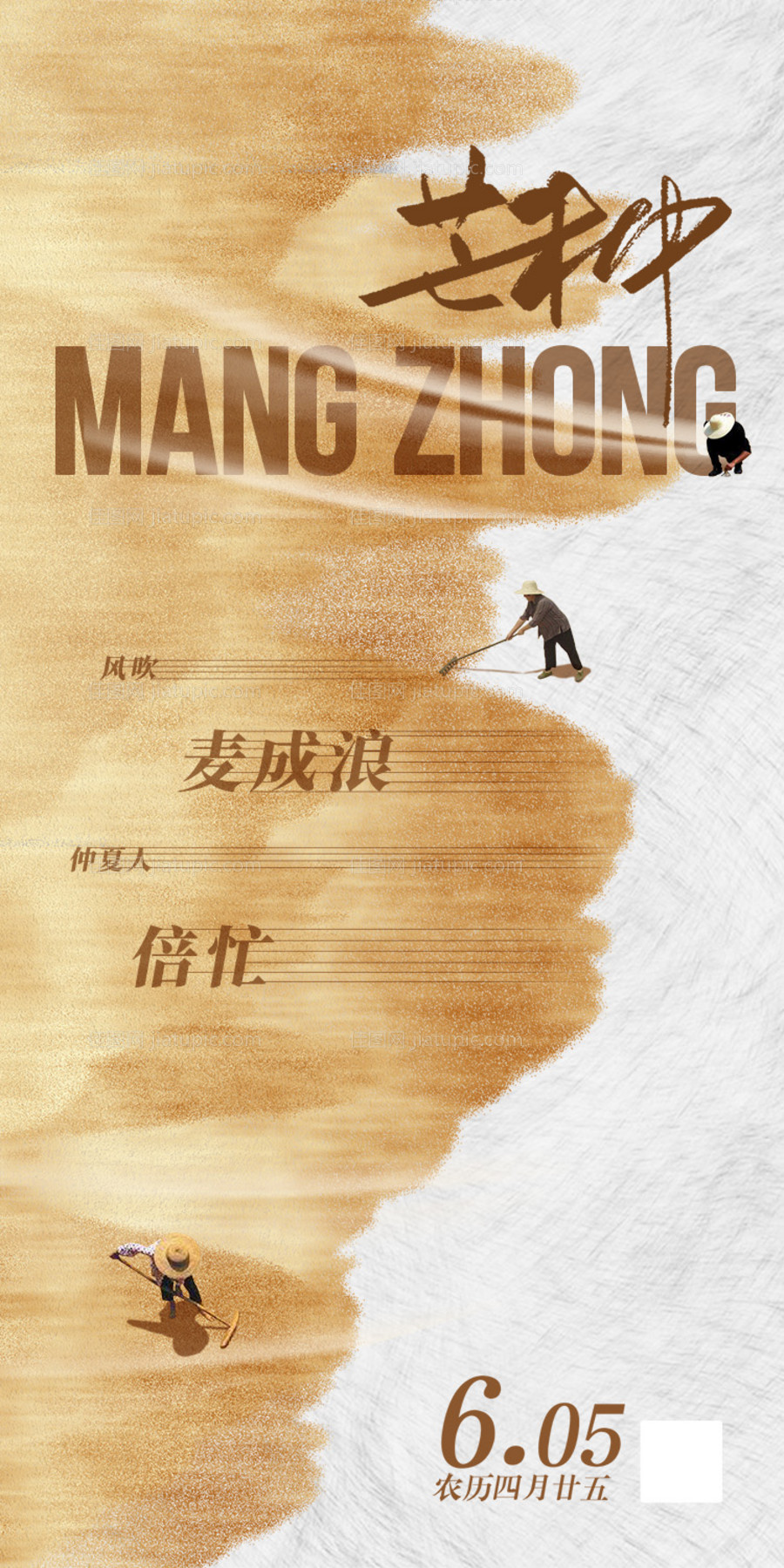 芒种海报-源文件
