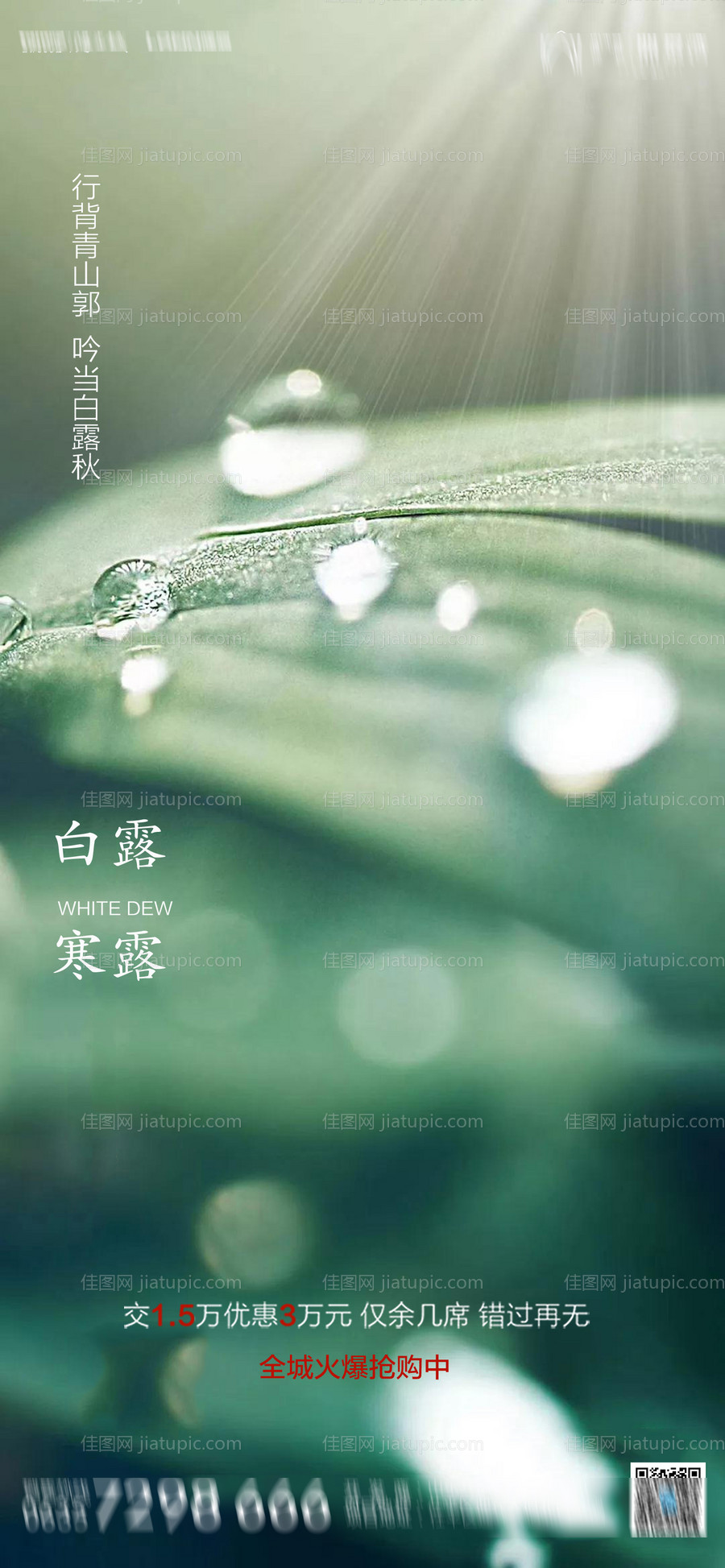 地产白露寒露节气海报-源文件