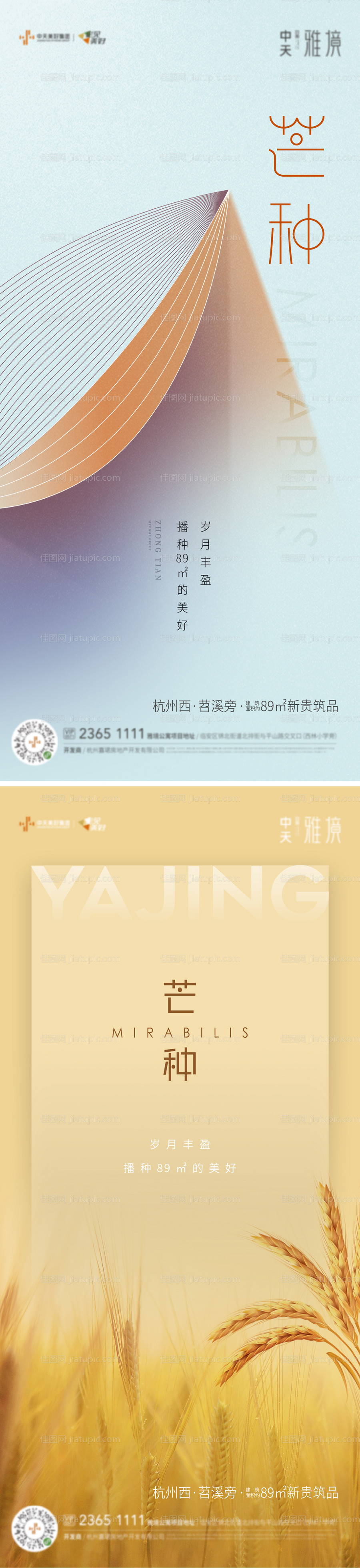 芒种海报-源文件