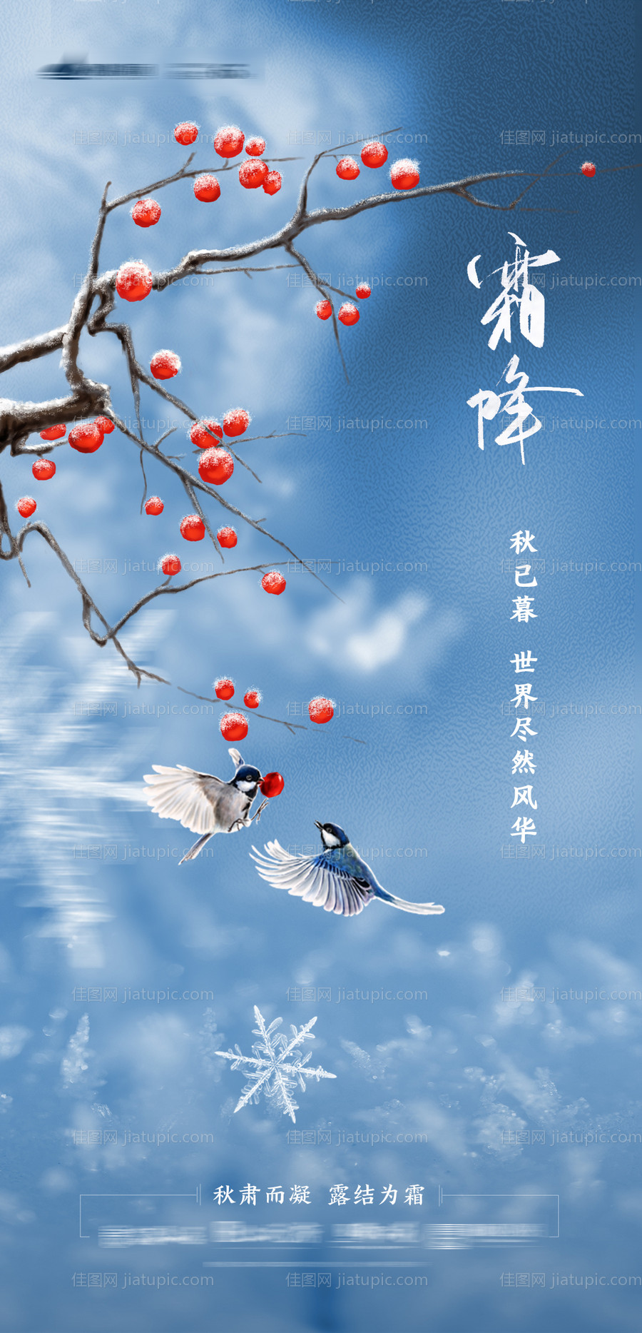 霜降节气移动端海报-源文件