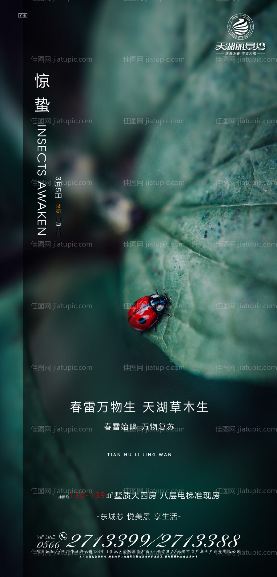 房地产惊蛰节气移动端海报-源文件