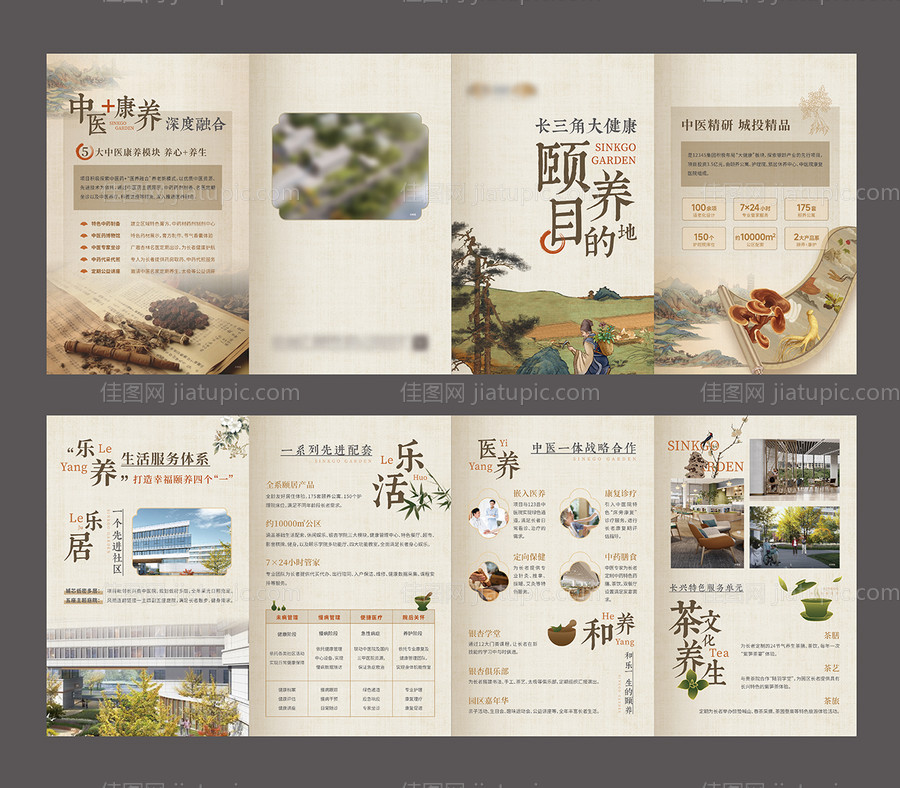中医养生养老医养四折页-源文件