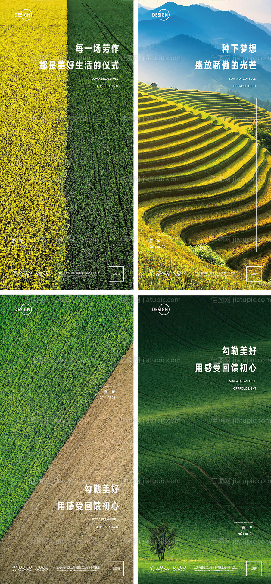 芒种节气海报-源文件