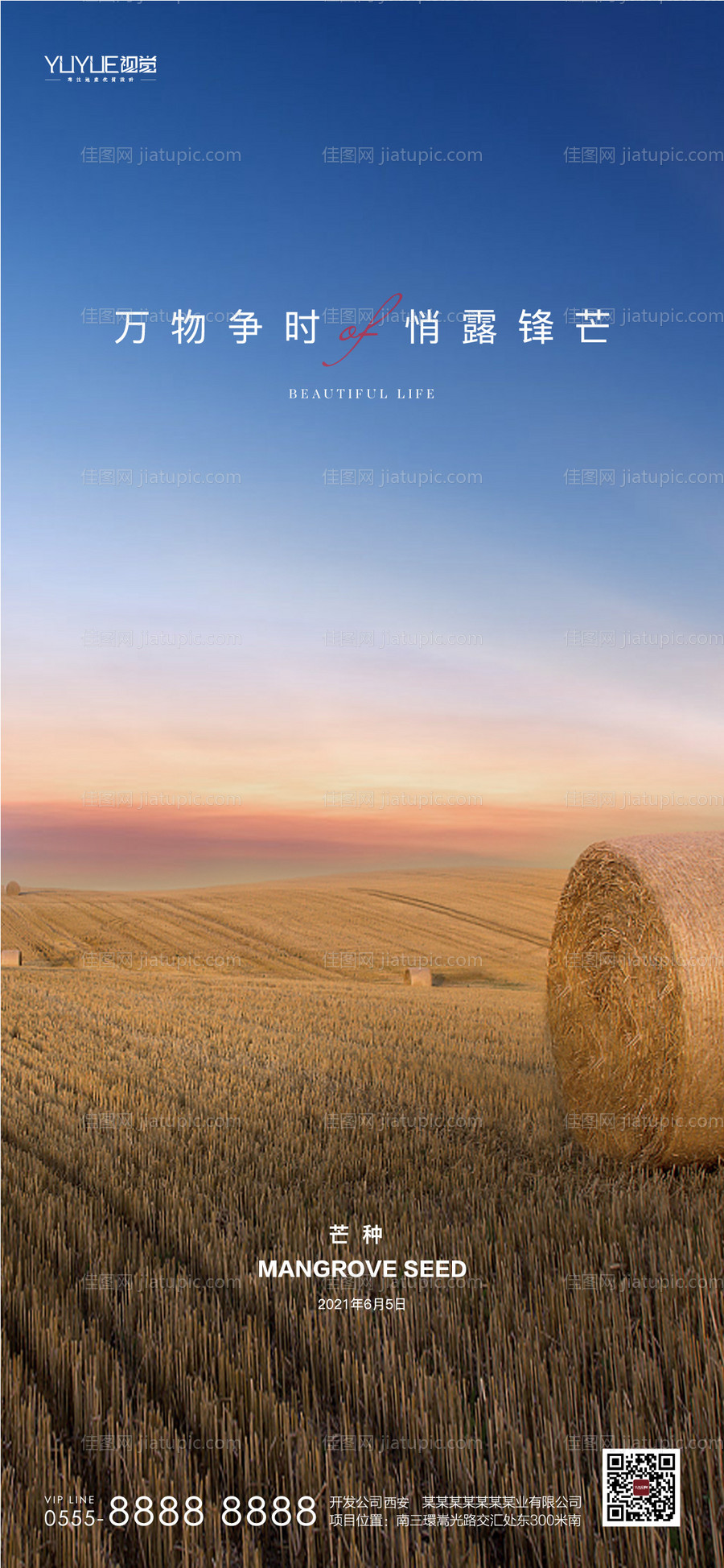 芒种节气海报-源文件