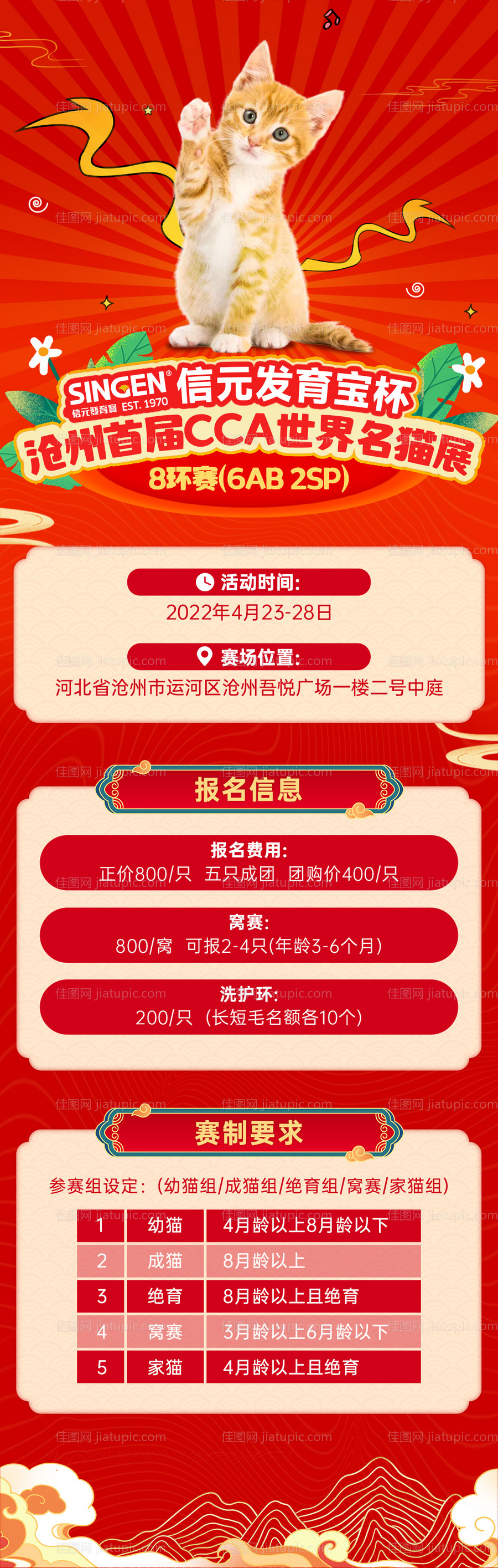 cca世界名猫展长图-源文件