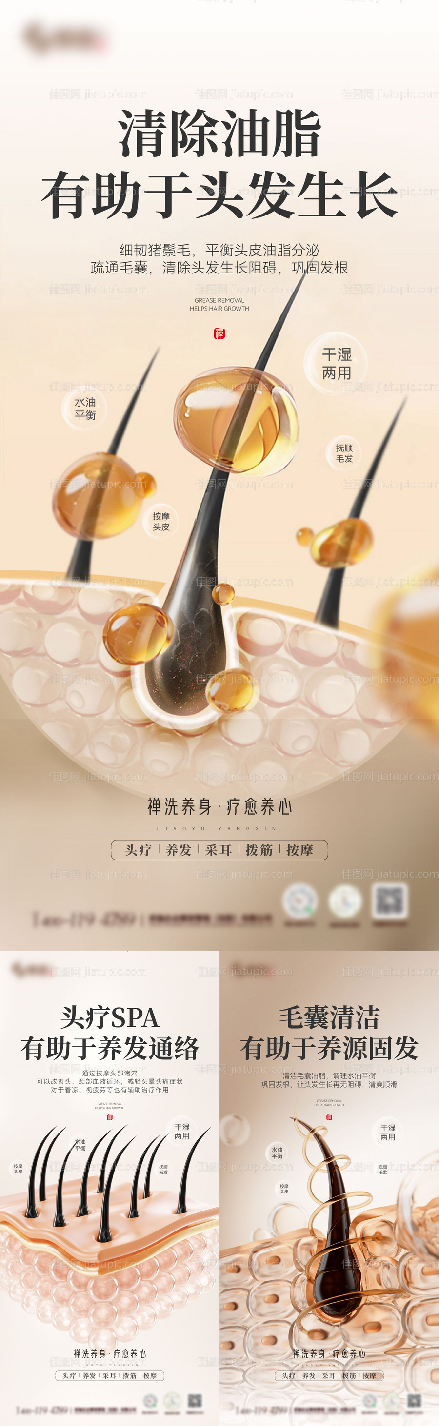 医美头皮头发毛囊知识系列海报-源文件