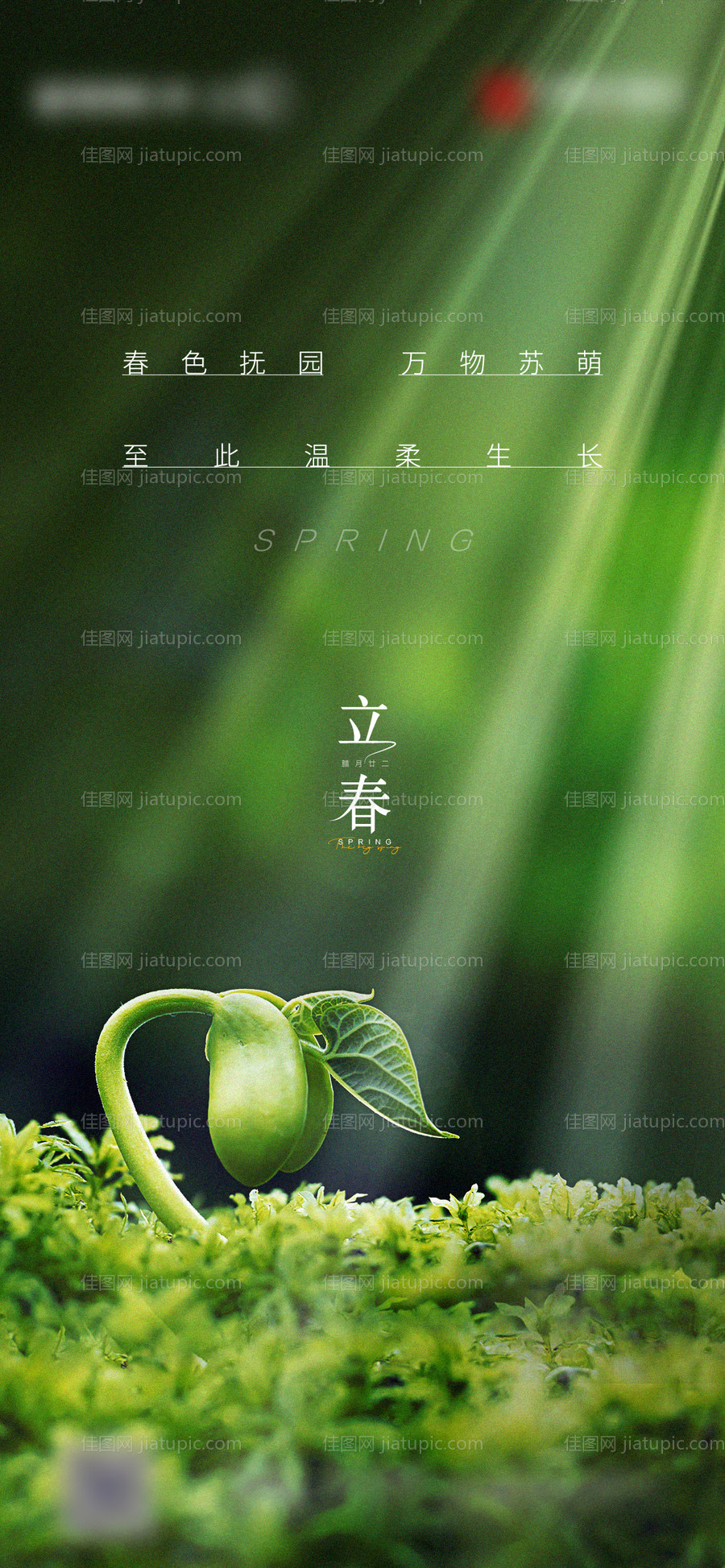 立春节气海报-源文件