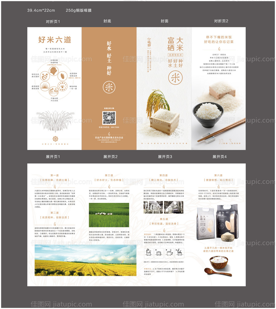 大米谷物介绍四折页-源文件