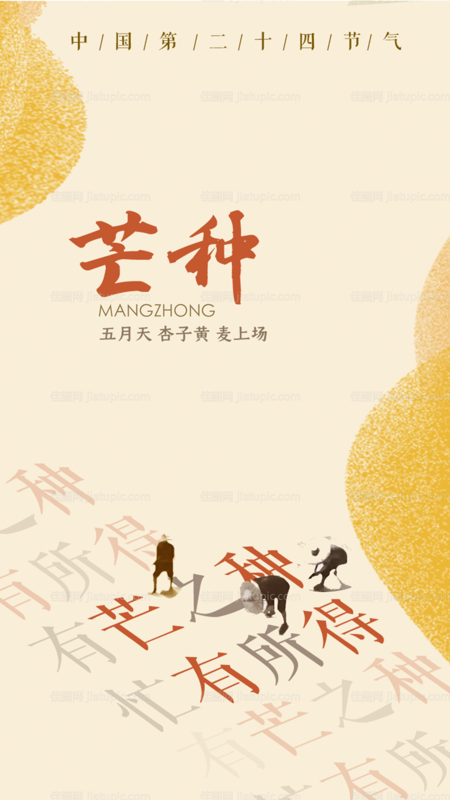 芒种节气海报-源文件