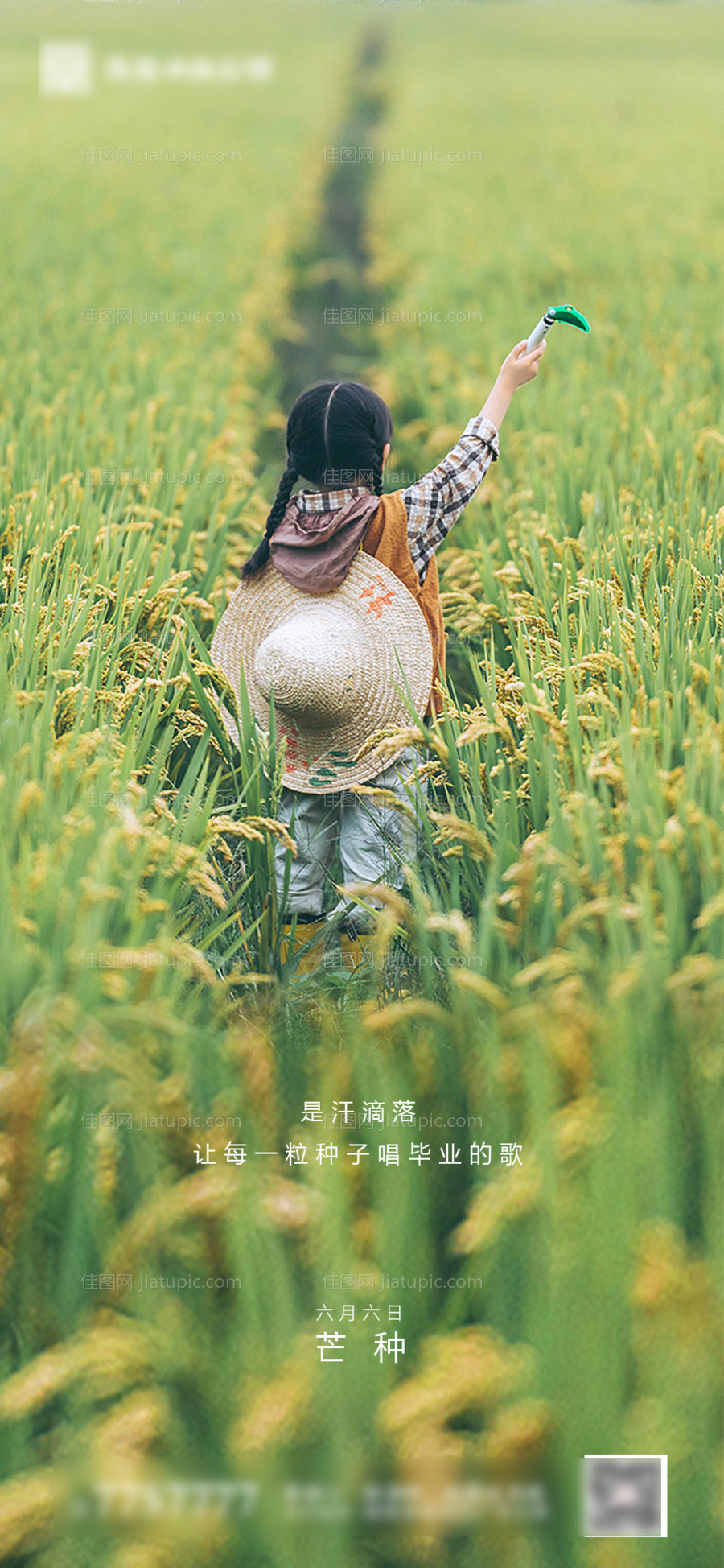 房地产芒种节气海报-源文件