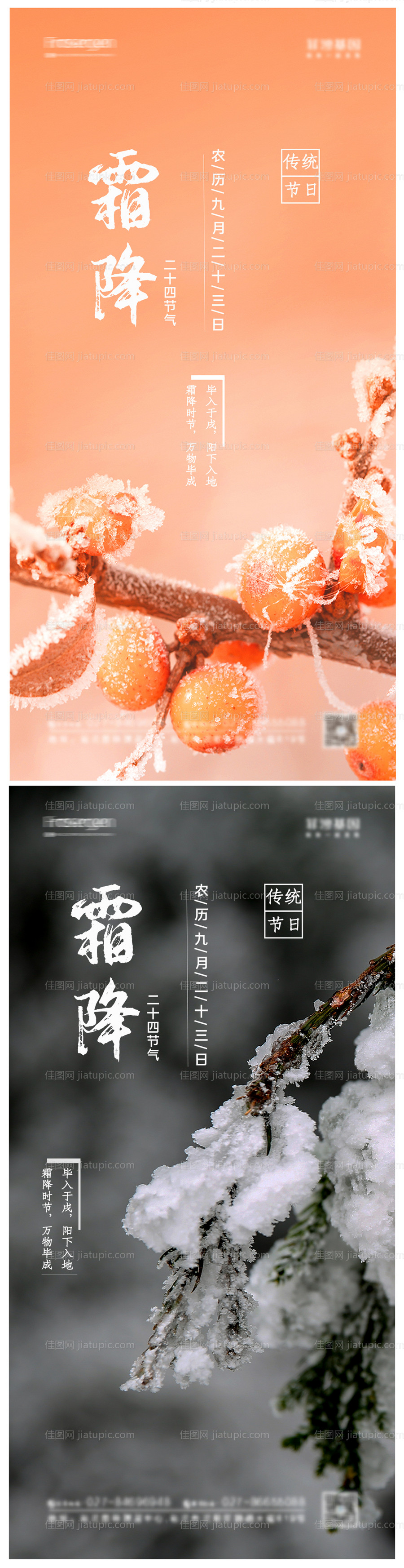 霜降摄影图节气海报-源文件