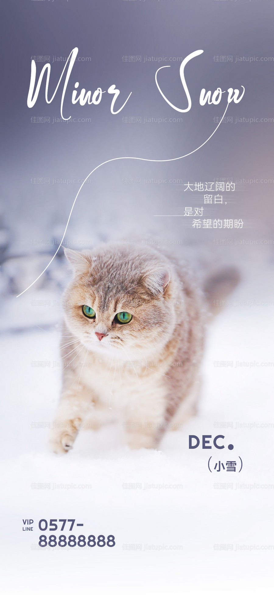 小雪地产海报-源文件