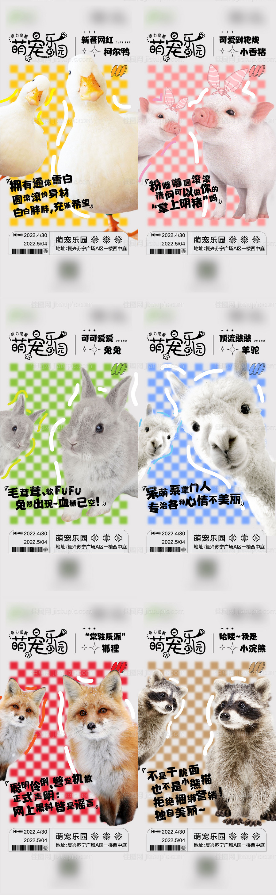 动物海报-源文件