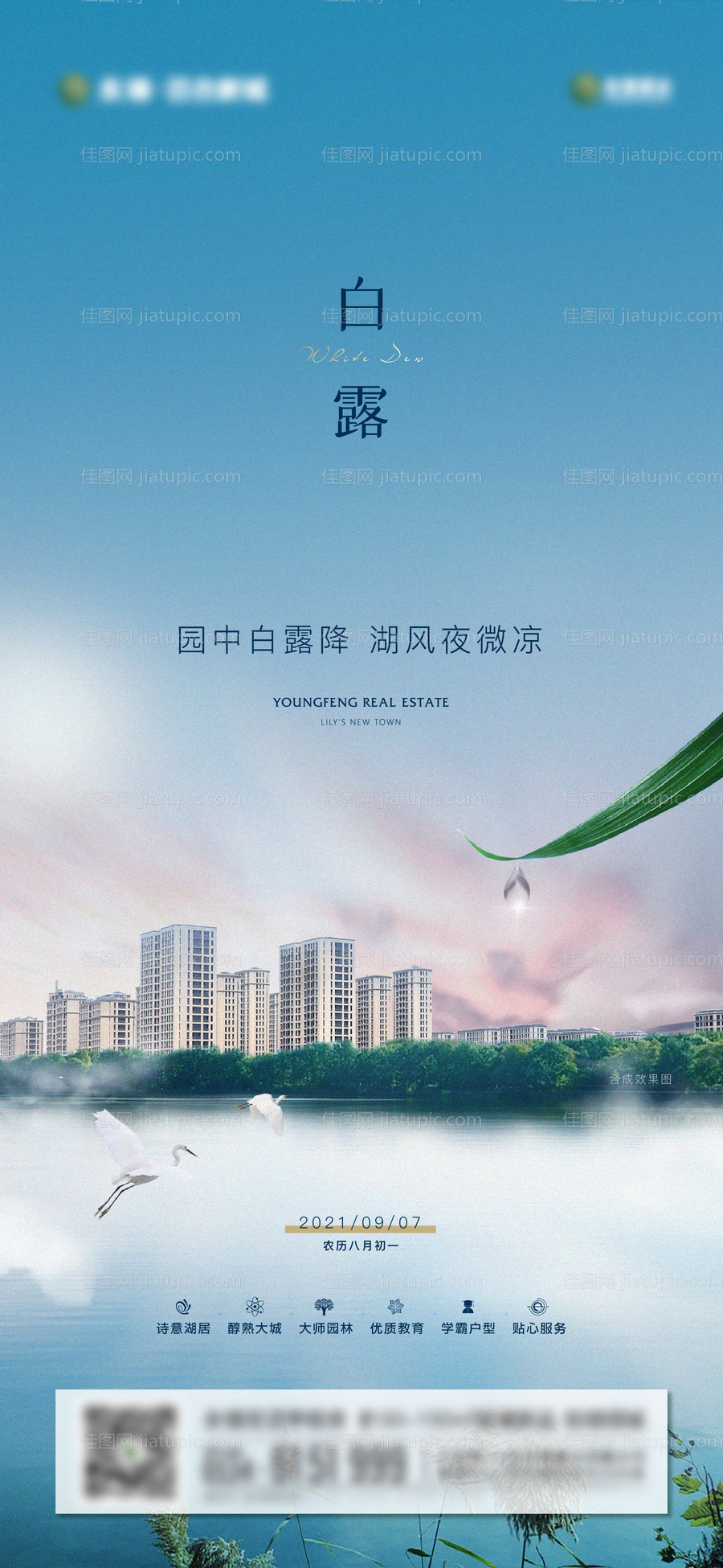 白露节气海报-源文件