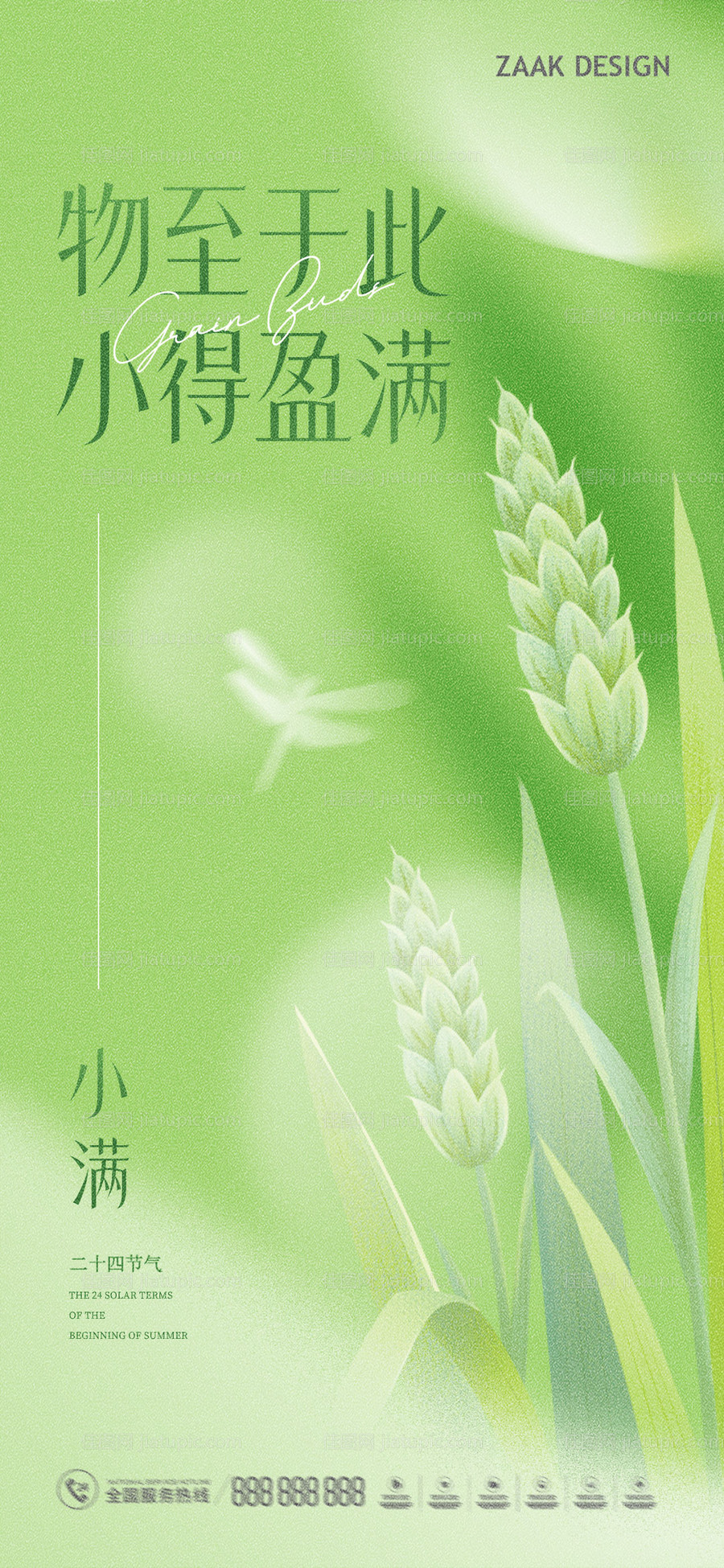 小满节气海报-源文件