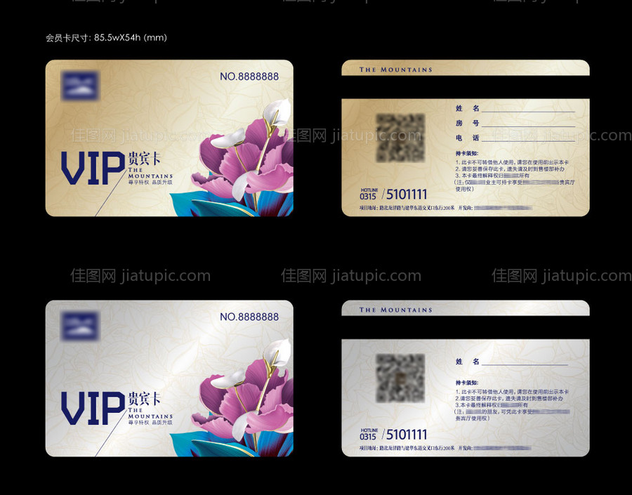 地产VIP会员金银卡-源文件