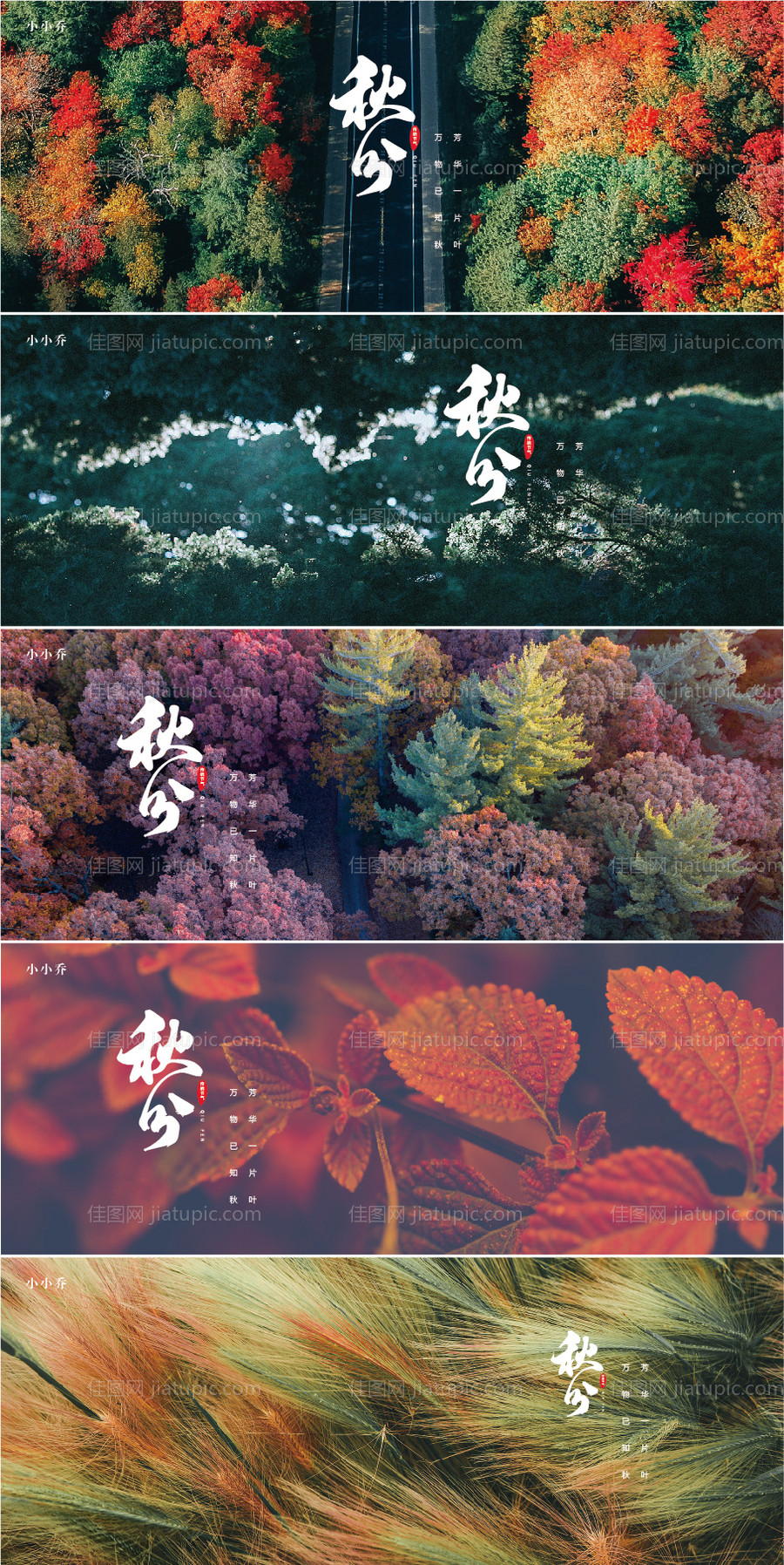 秋分海报-源文件