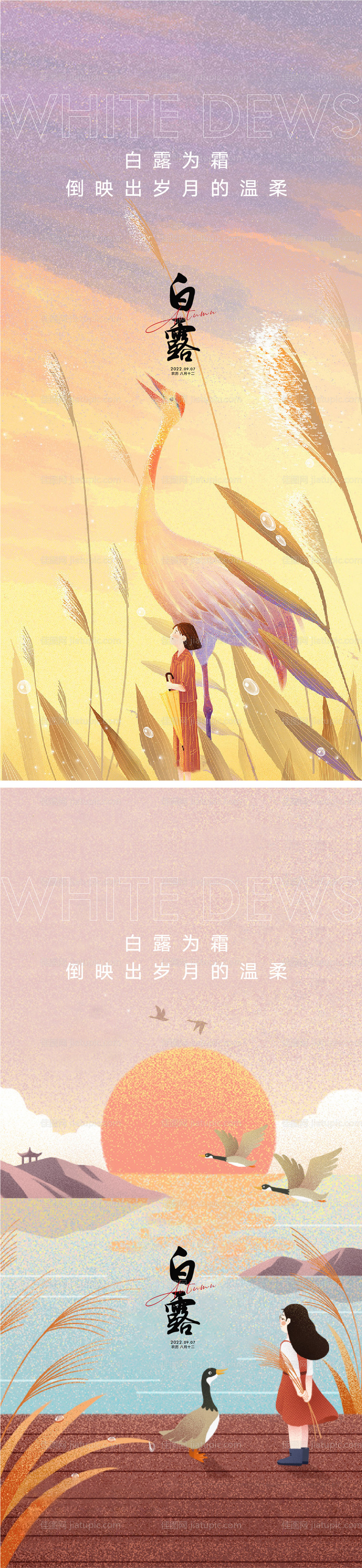 白露海报-源文件