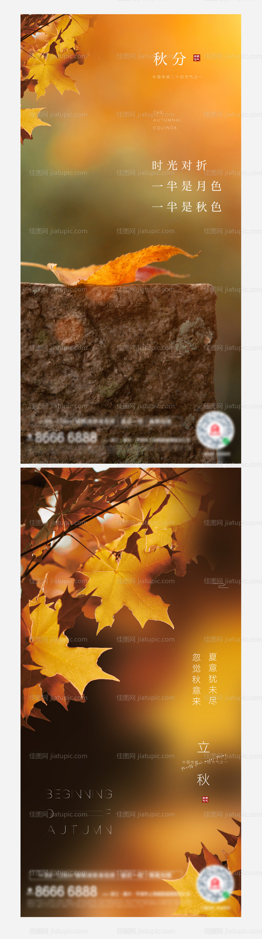 秋分立秋枫叶落叶-源文件