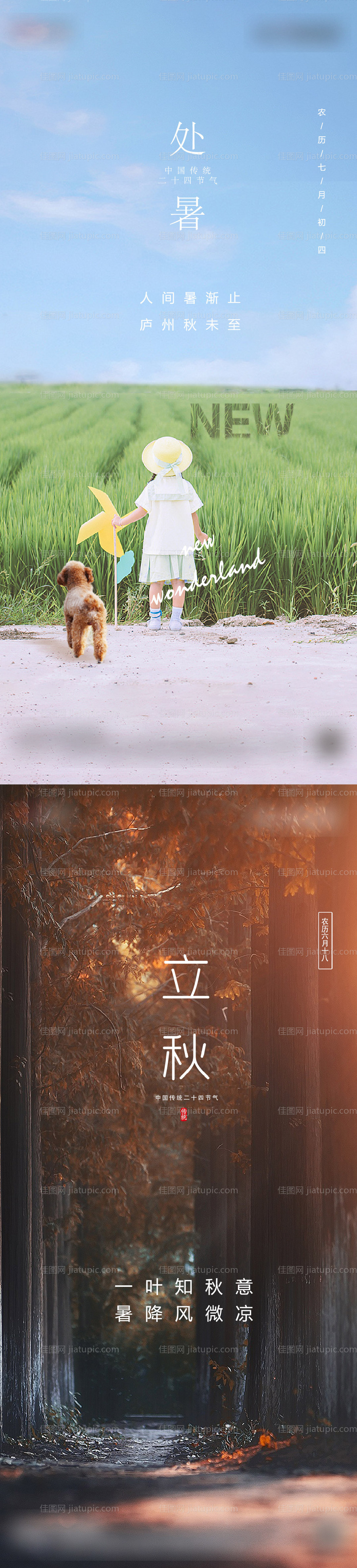 处暑立秋节气西路海报-源文件