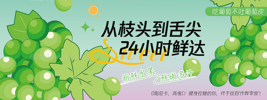 清晨采摘葡萄背景板-源文件