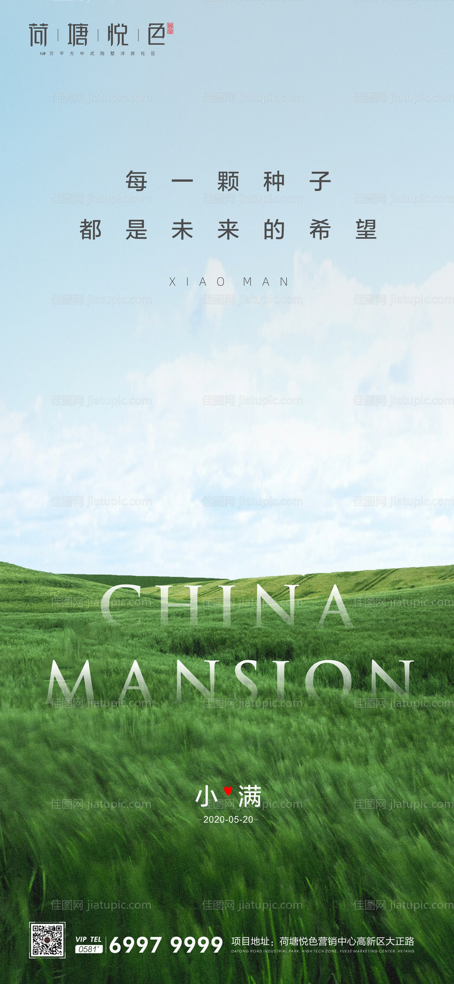 小满节气系列海报-源文件