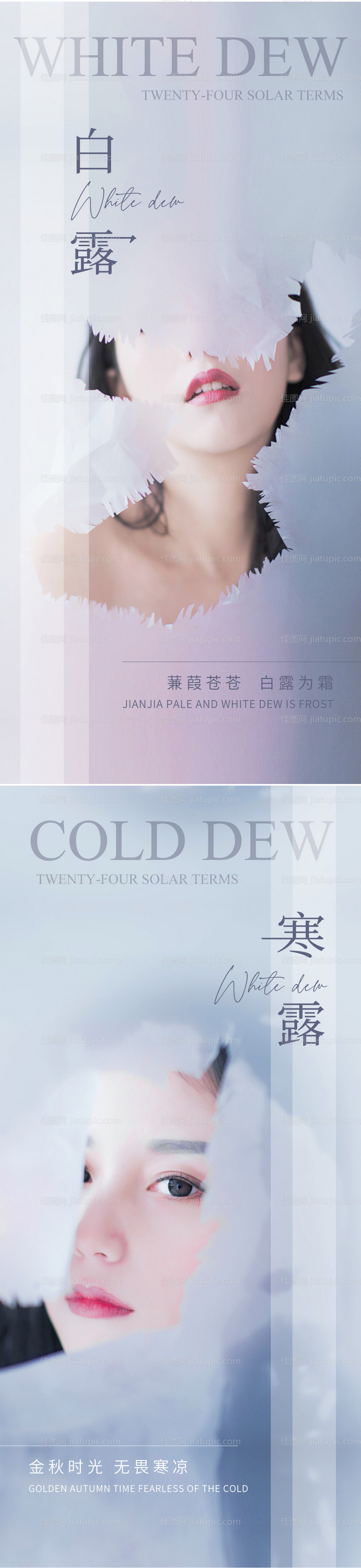 白露寒露节气海报-源文件