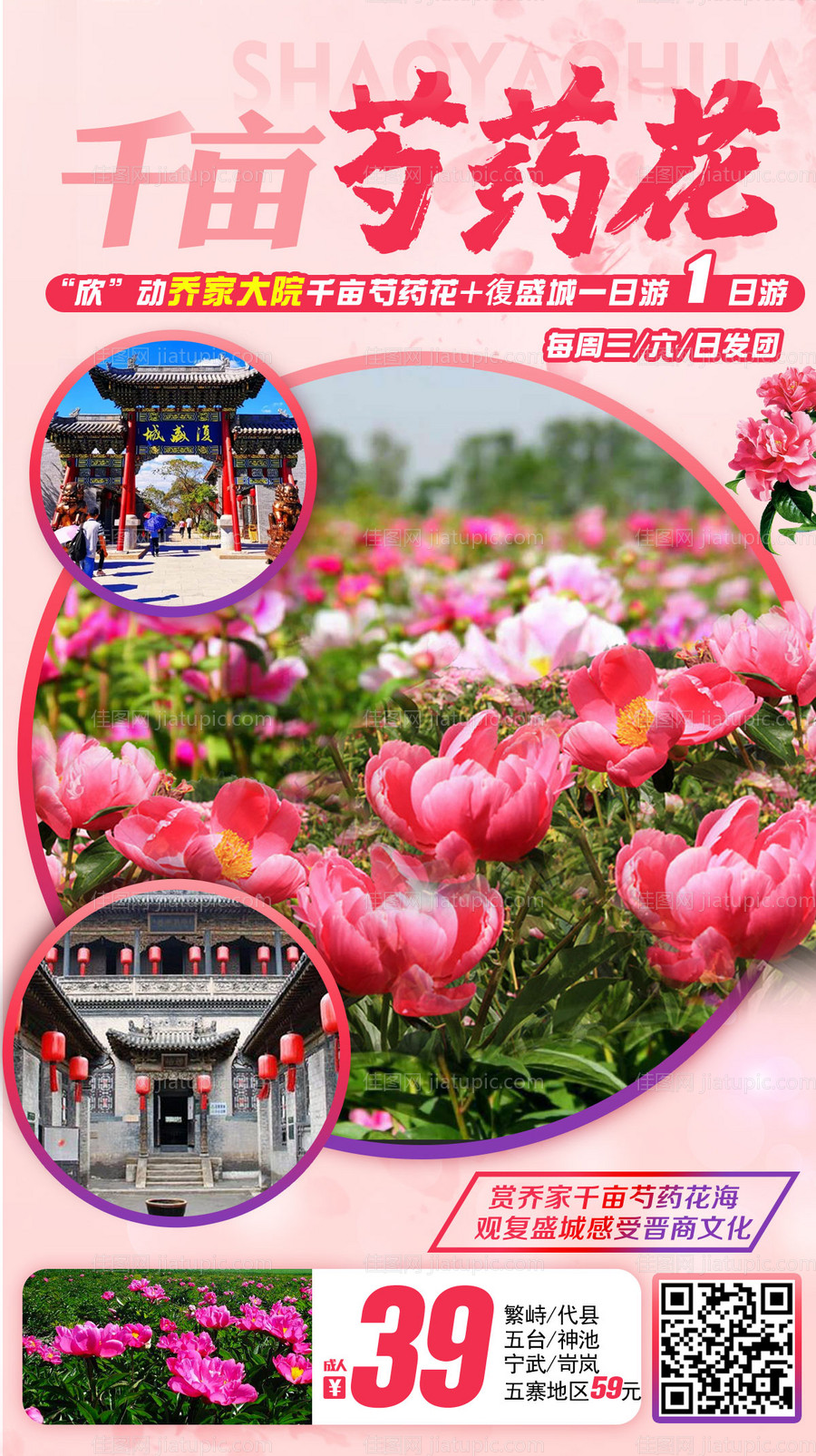 千亩芍药花乔家大院 一日游-源文件