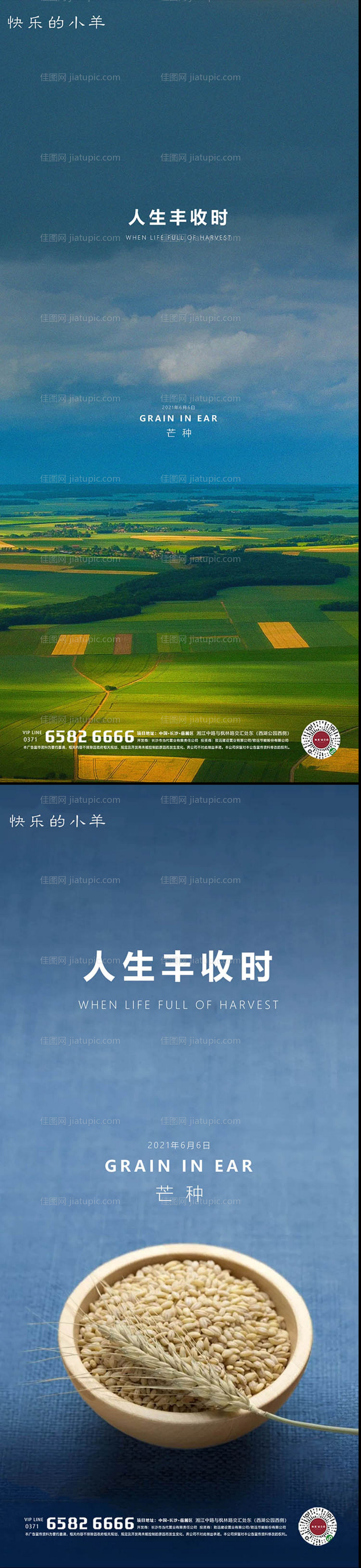 芒种节气海报-源文件