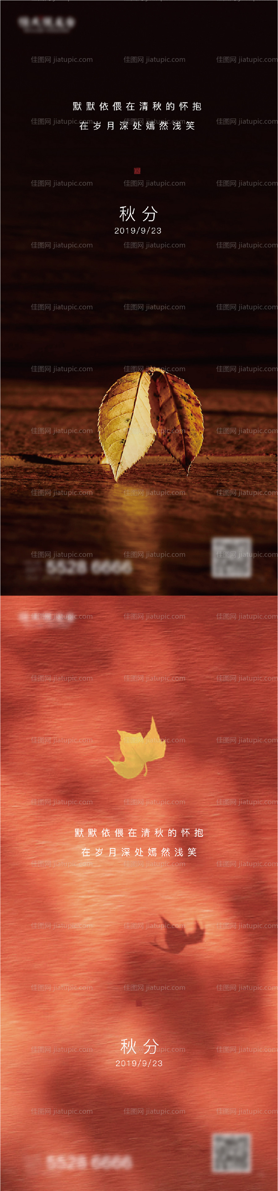 秋分海报-源文件
