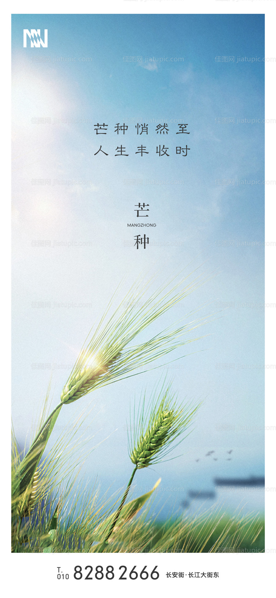 芒种节气移动端微信海报-源文件