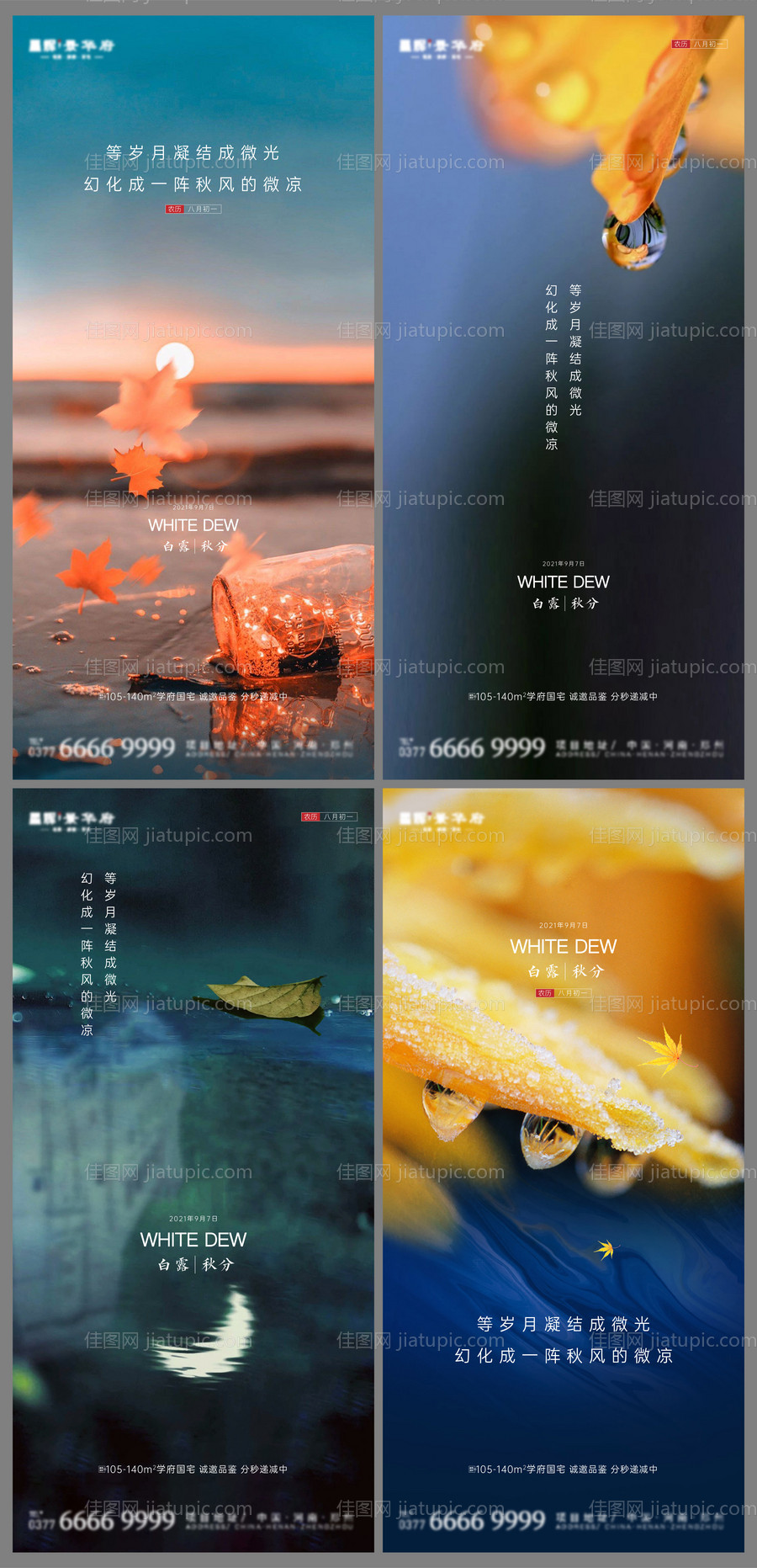 地产白露秋分节气系列海报-源文件