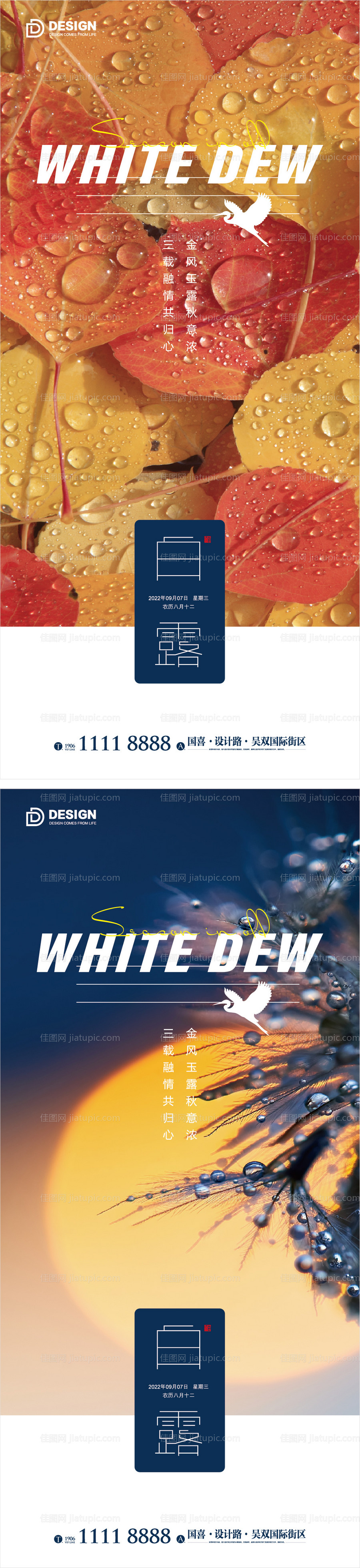 白露海报 -源文件