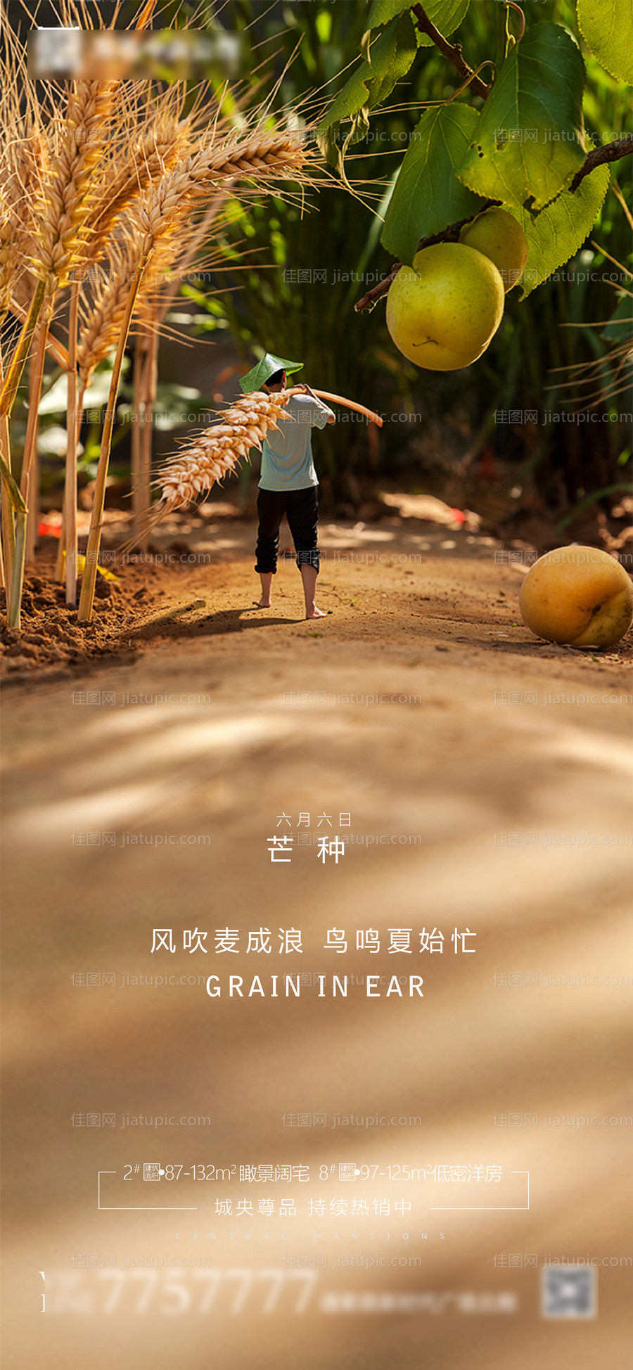 房地产芒种节气海报-源文件