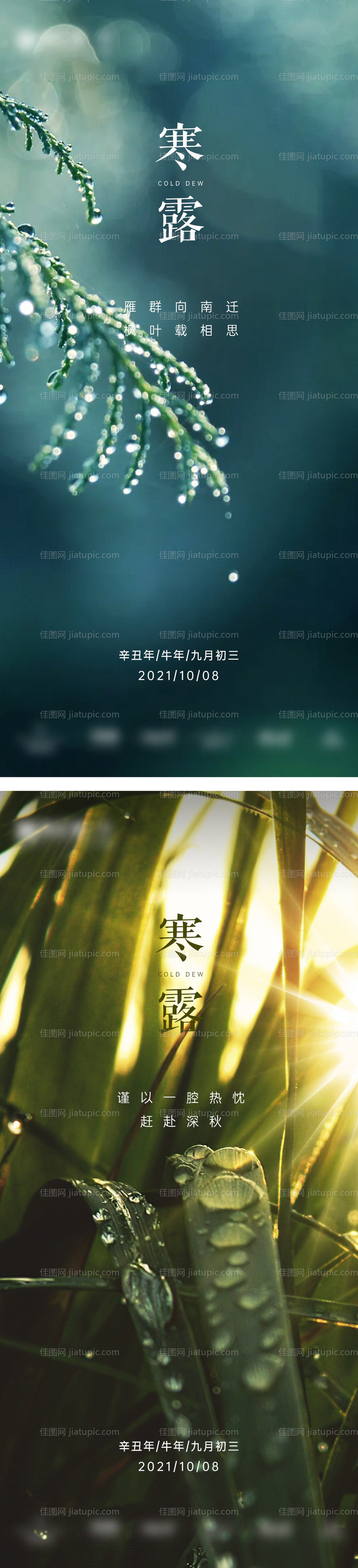 地产寒露节气系列海报-源文件