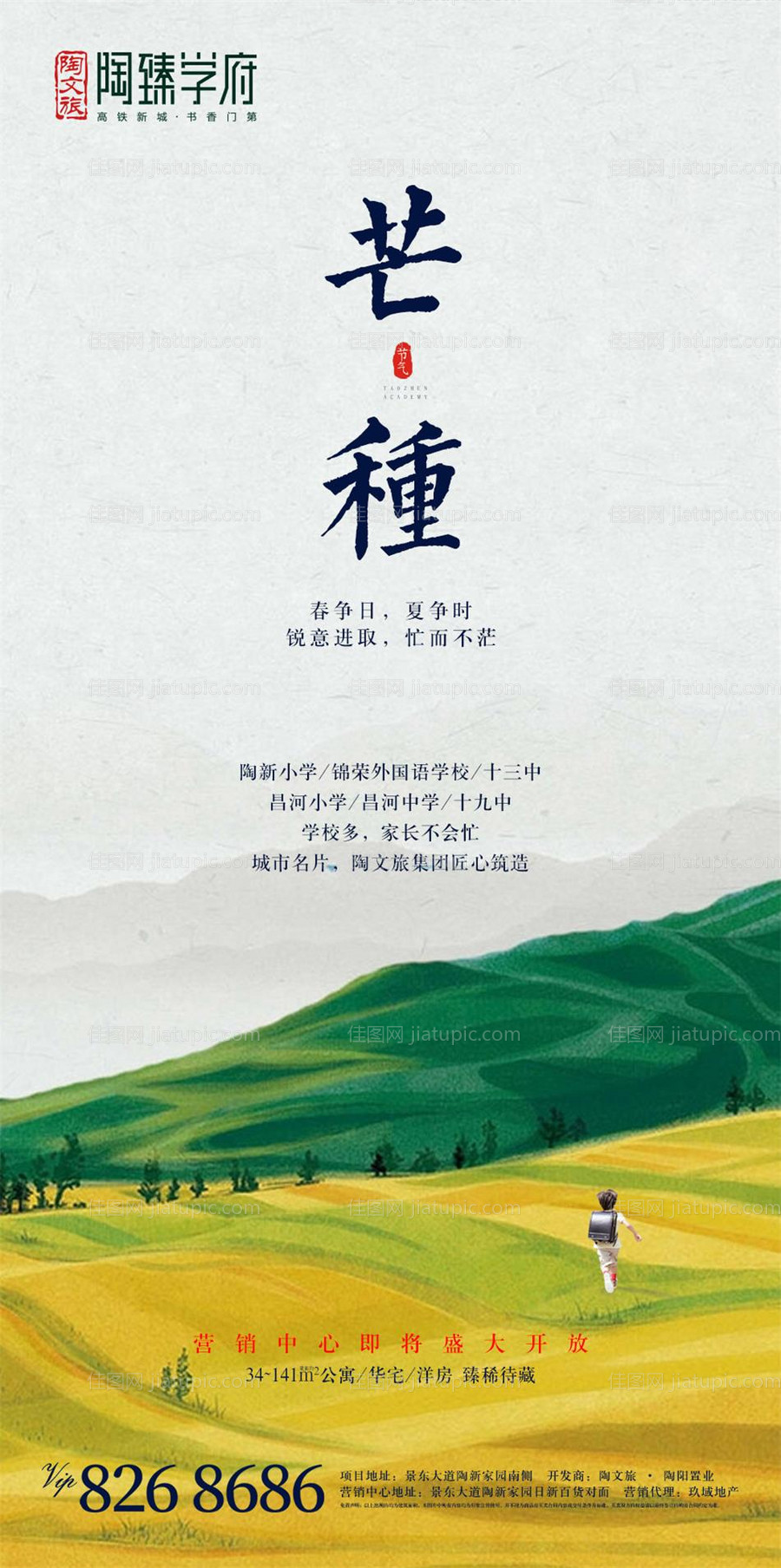 芒种节气海报-源文件