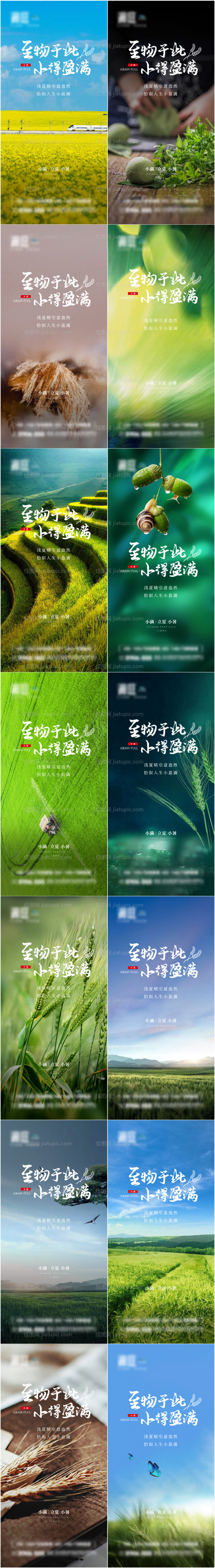 小满小暑大暑立夏二十四节气宣传海报-源文件