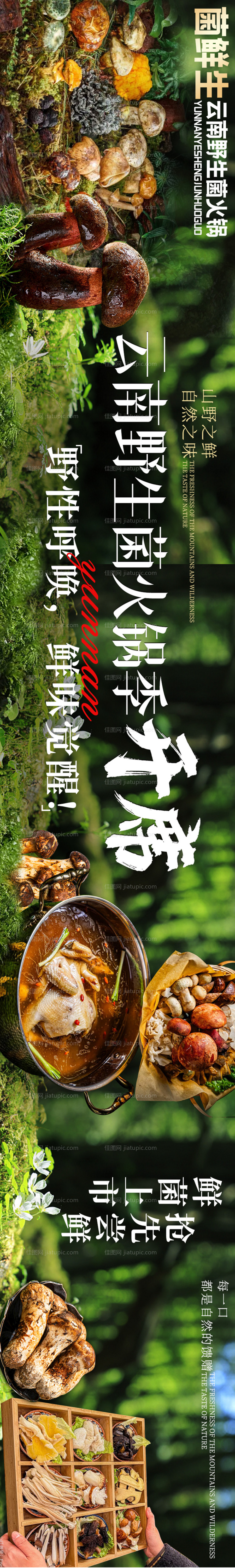 大众点评野生菌五连图设计-源文件