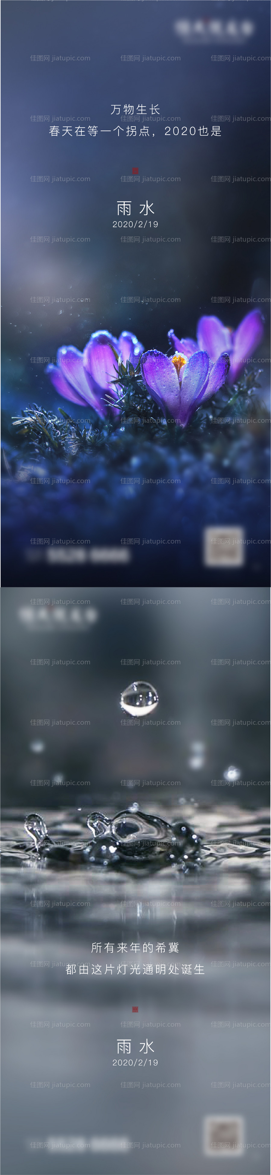 雨水节气系列海报-源文件