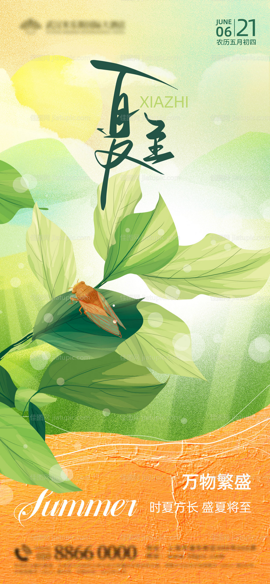夏至节气海报-源文件