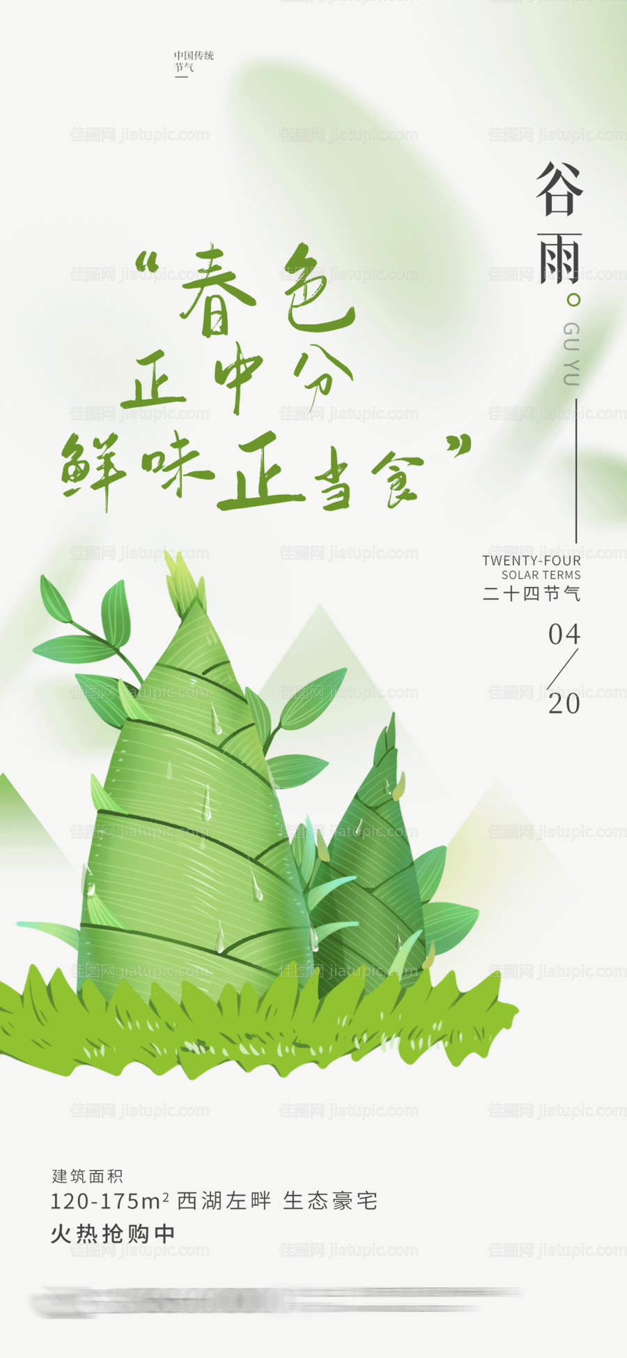 谷雨竹笋插画海报-源文件