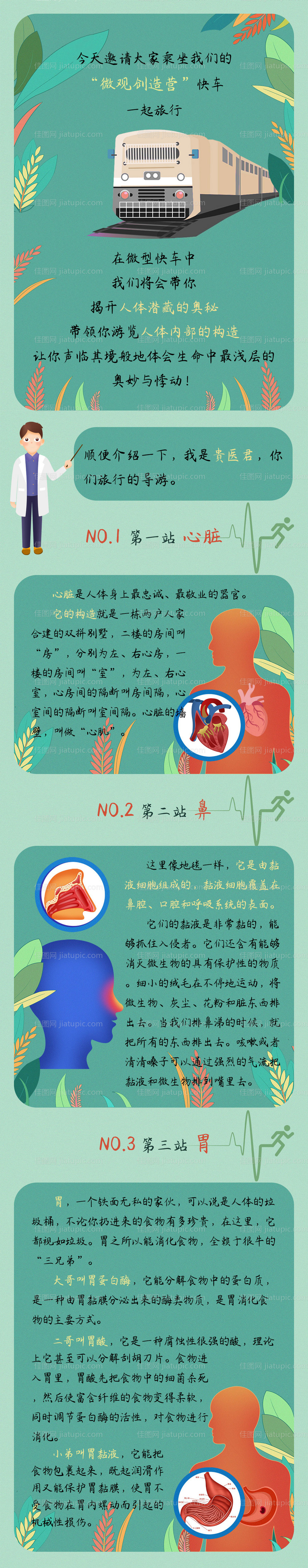 人体器官科普医美长图-源文件