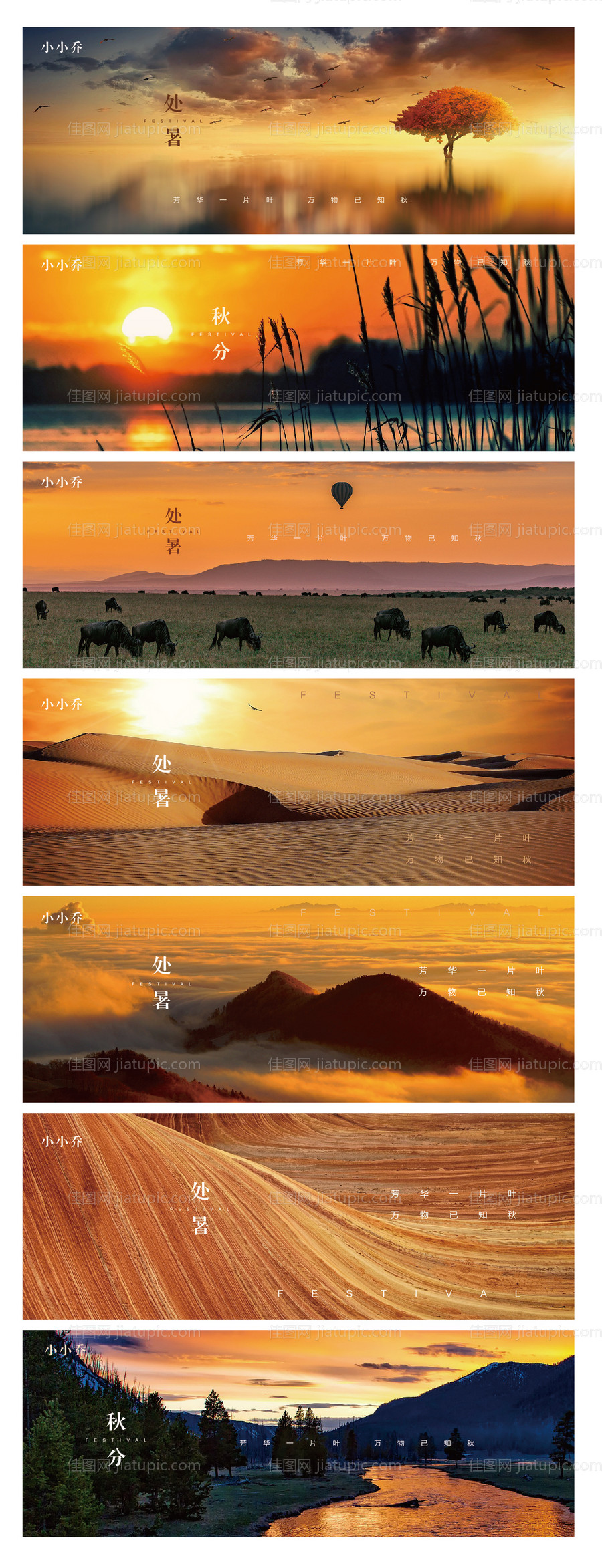 处暑秋分节气海报-源文件