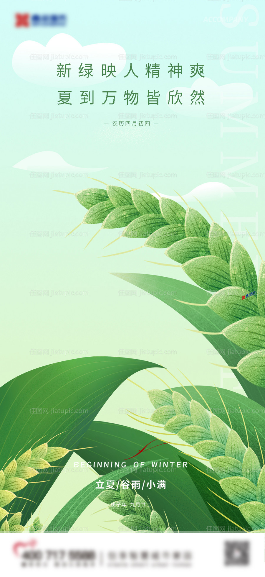 节气海报-源文件