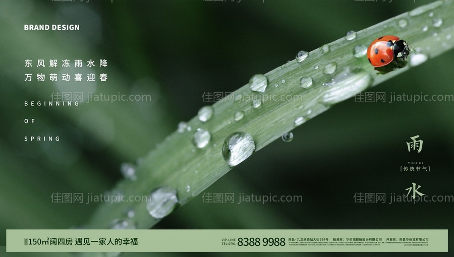 雨水节气微信-源文件