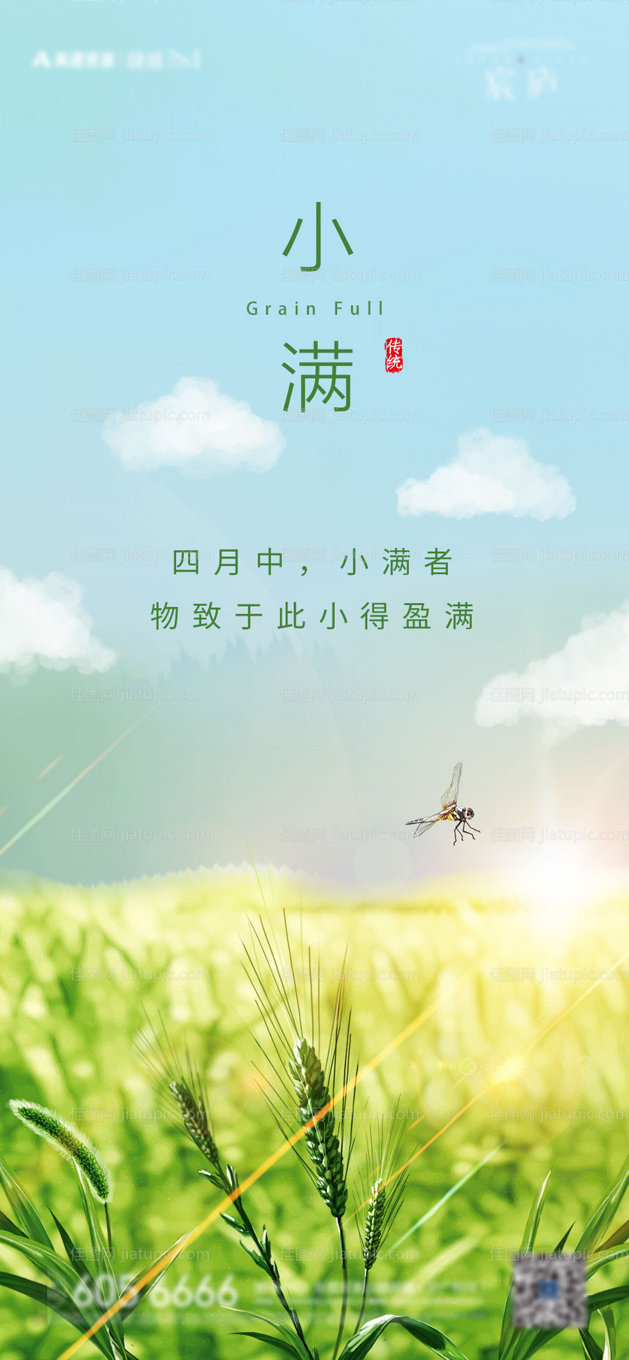 小满节气海报-源文件